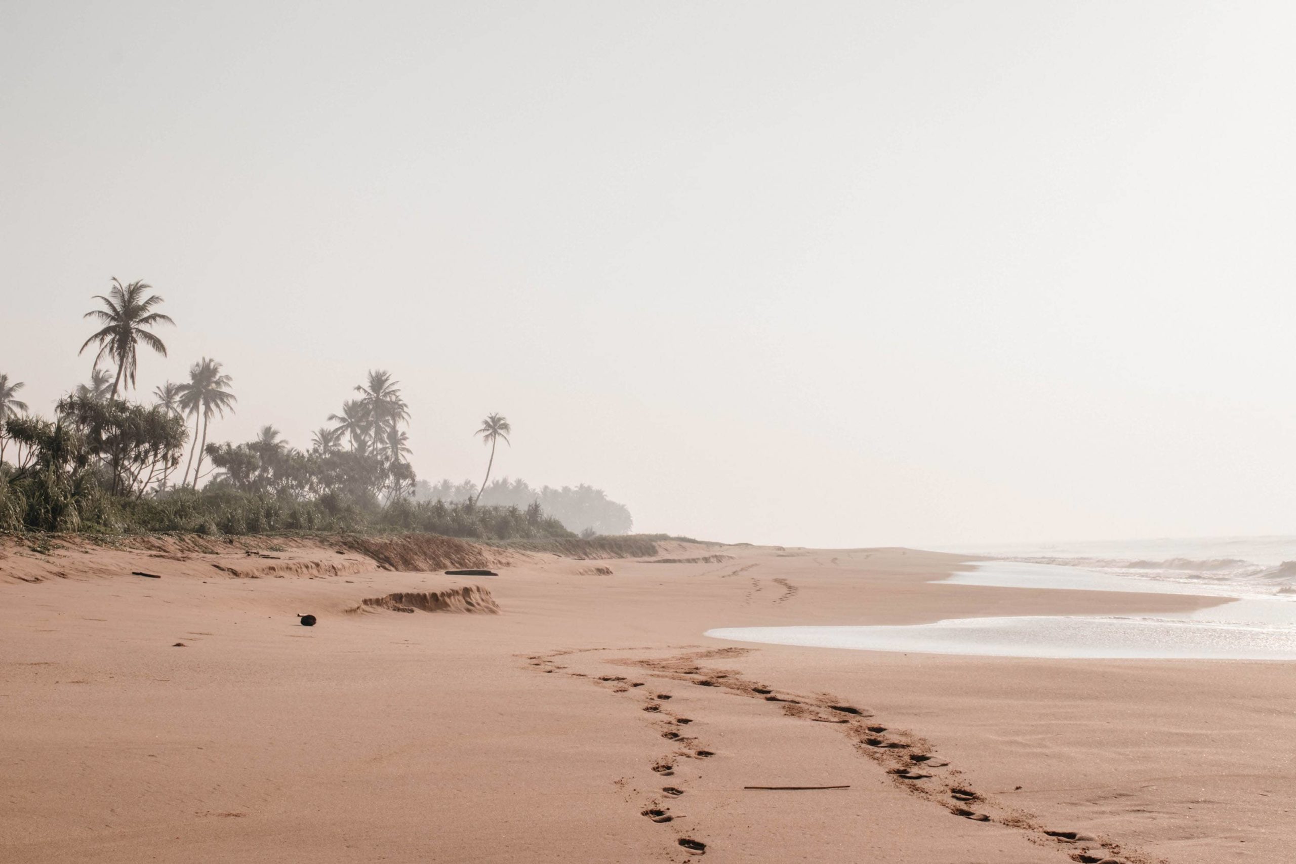 sri lanka einsamer strand