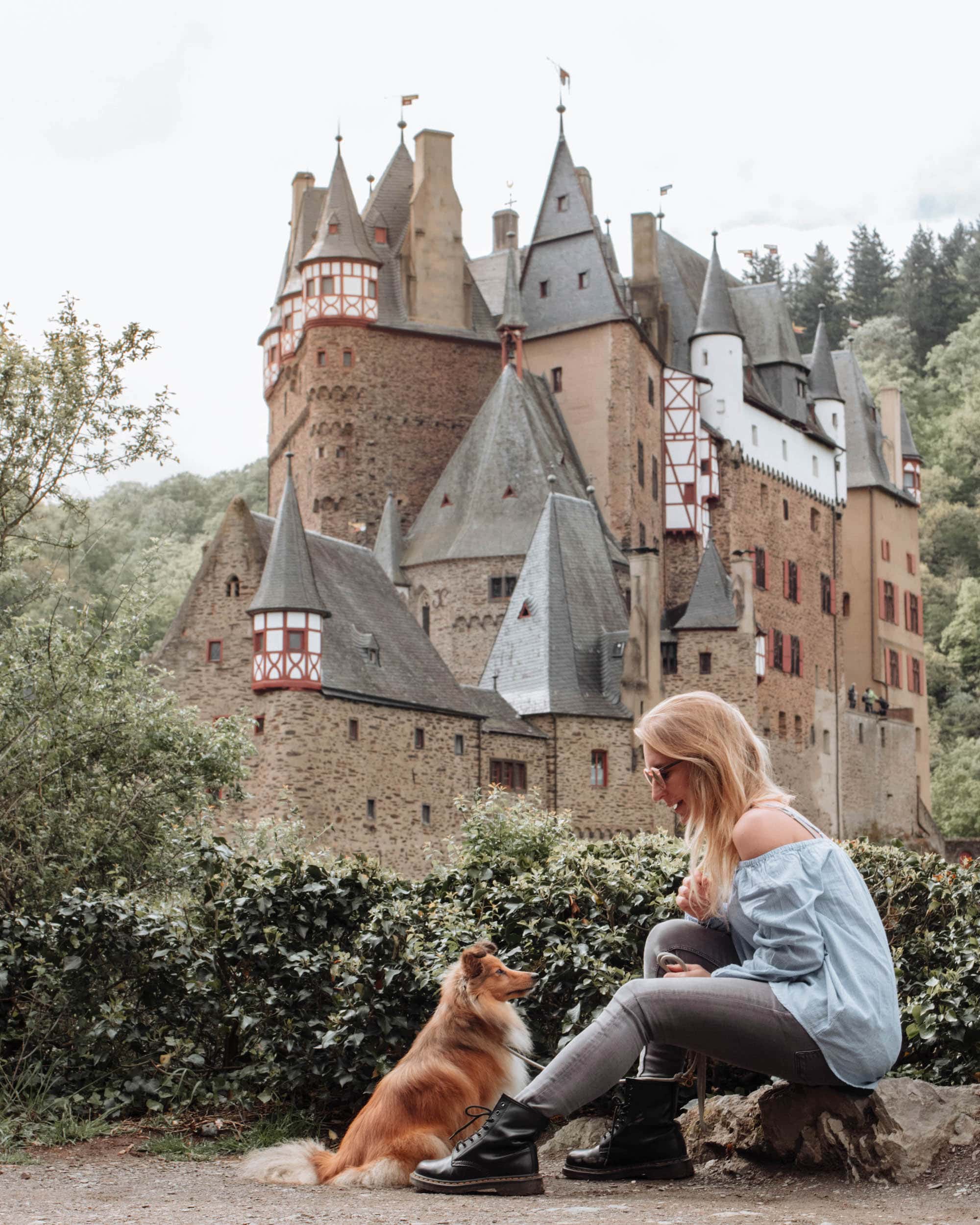 burg eltz hund