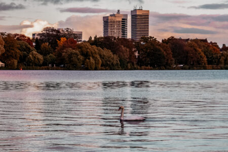 alster aktivitäten