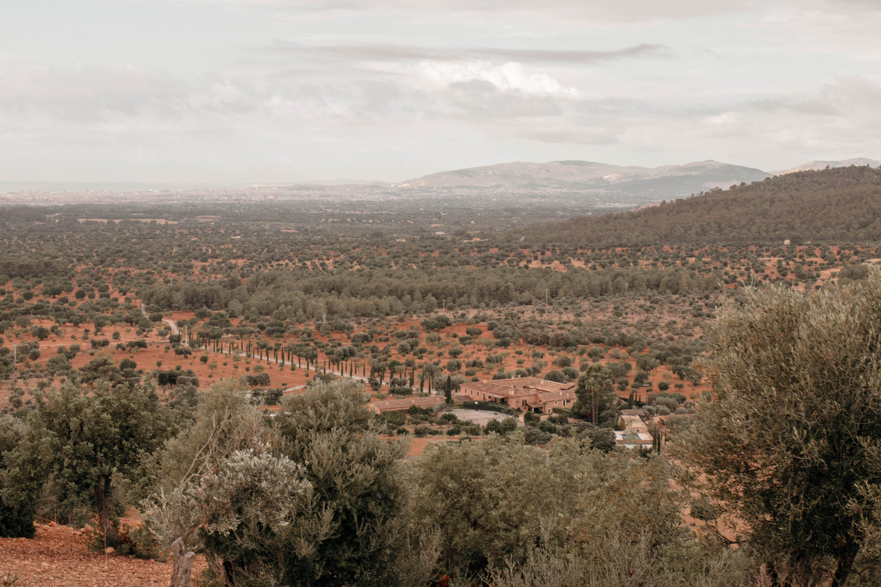 flachland von mallorca