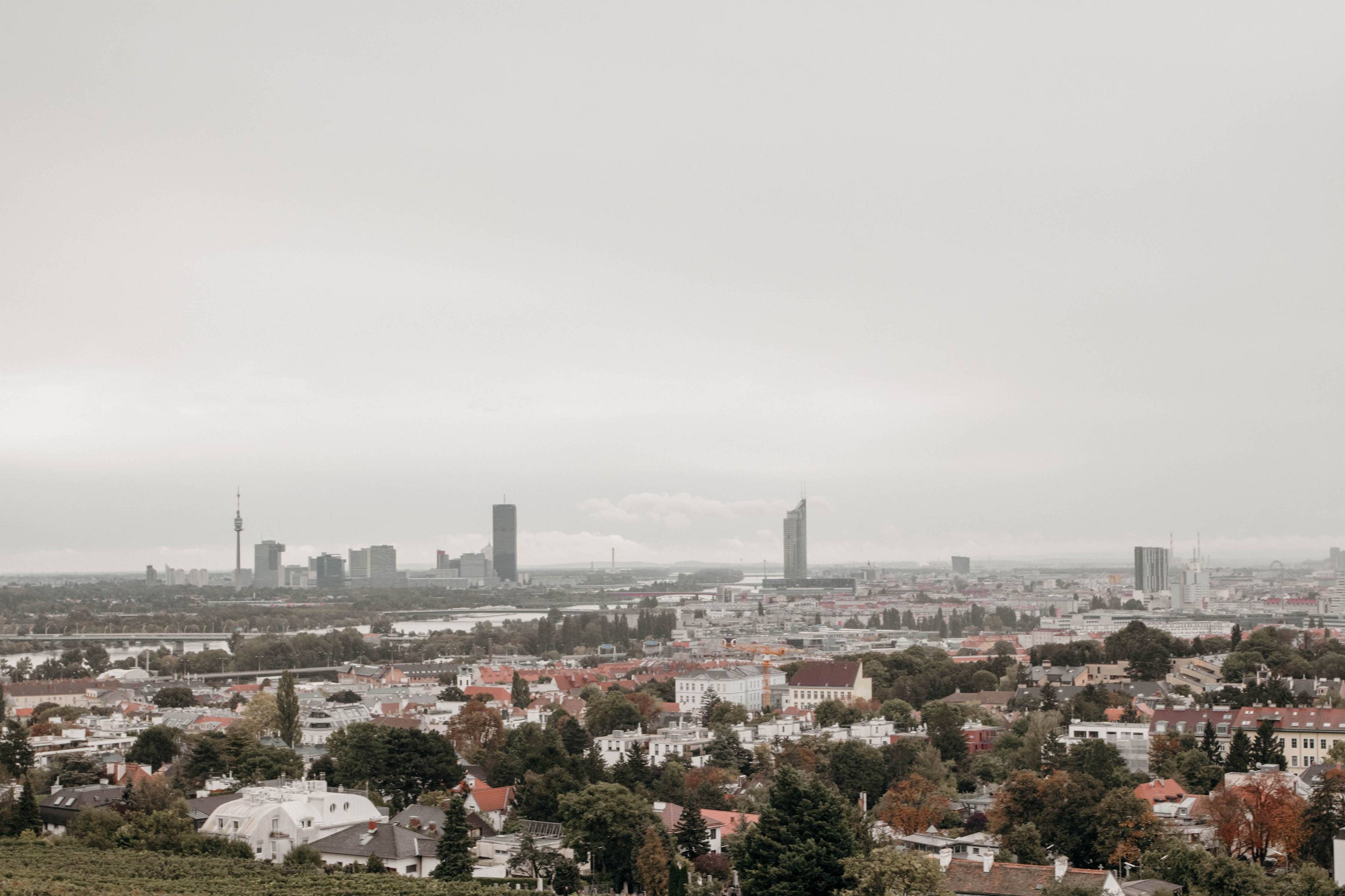 blick auf wien vom weinberg