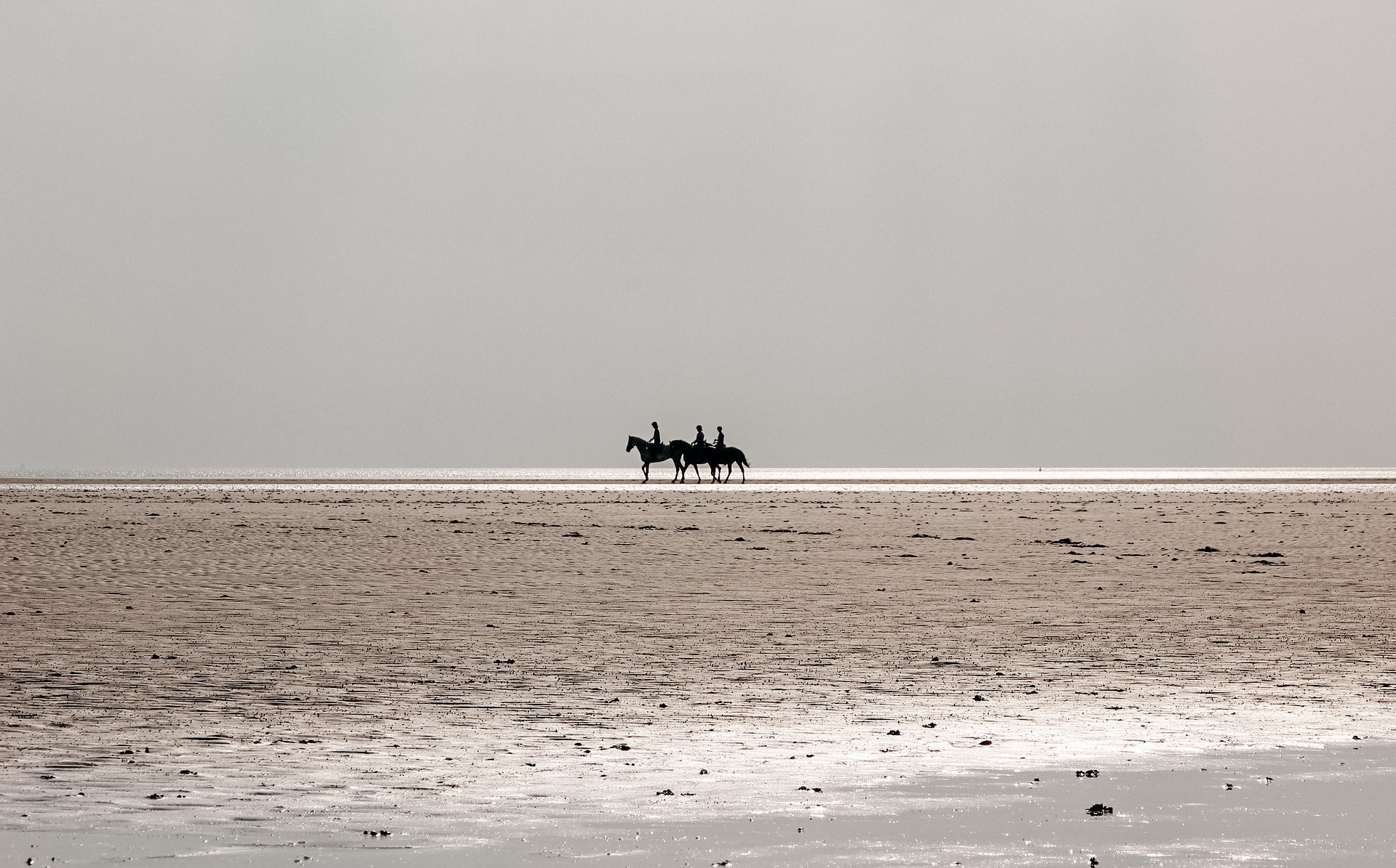 pferde mit reitern am strand von st. peter ording