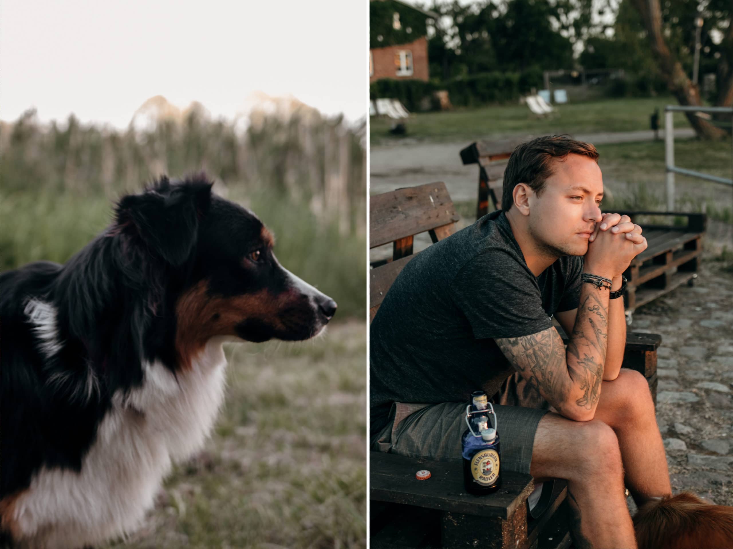 camping mecklenburgische seenplatte hund