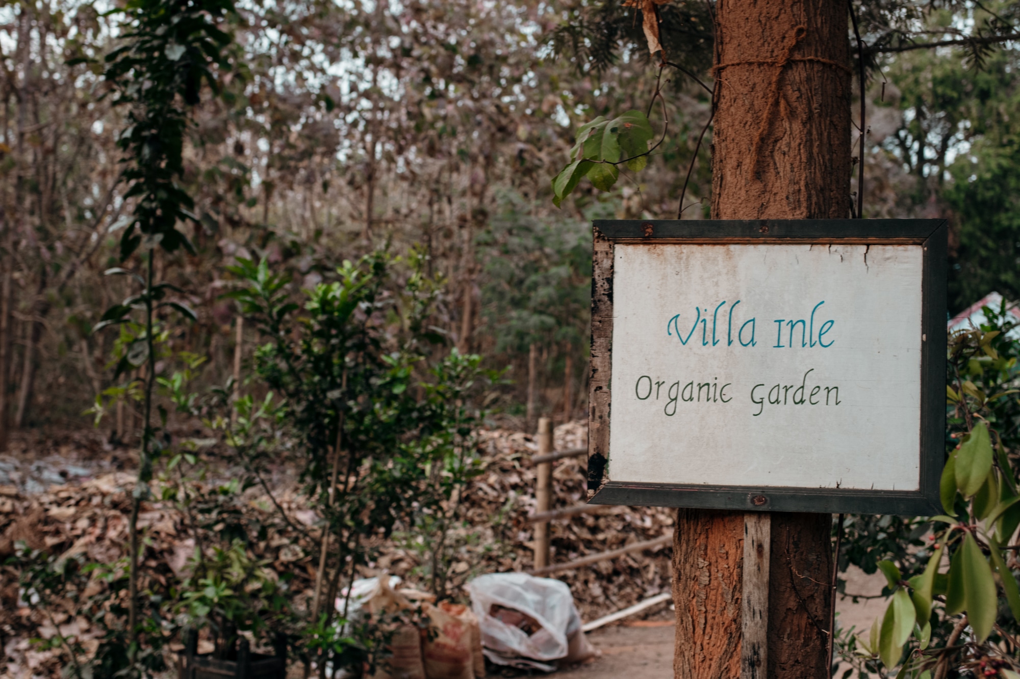 villa inle organic garden