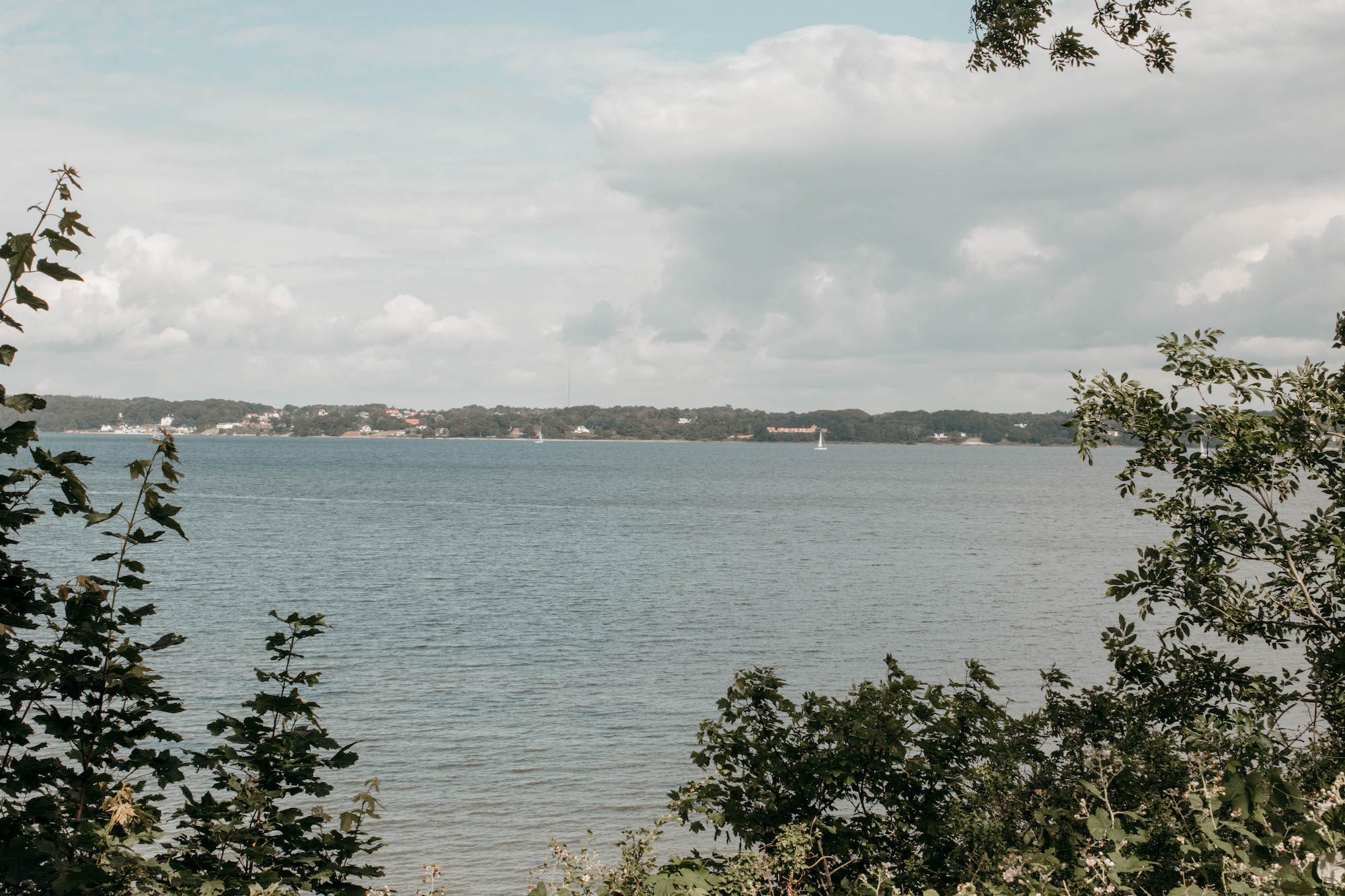 flensburger förde aussicht