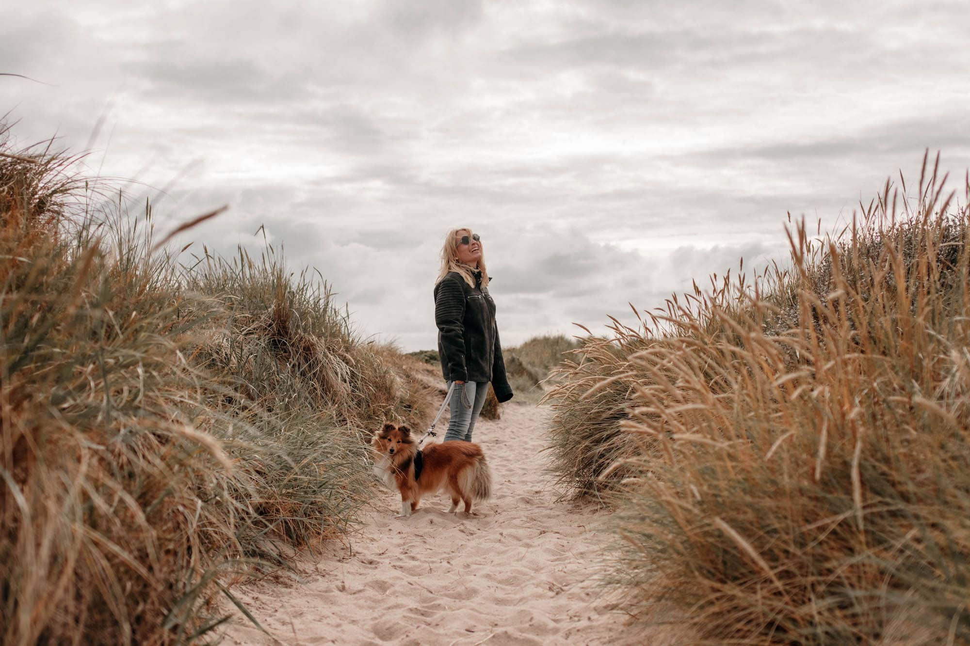 dünenlandschaft sylt Hund