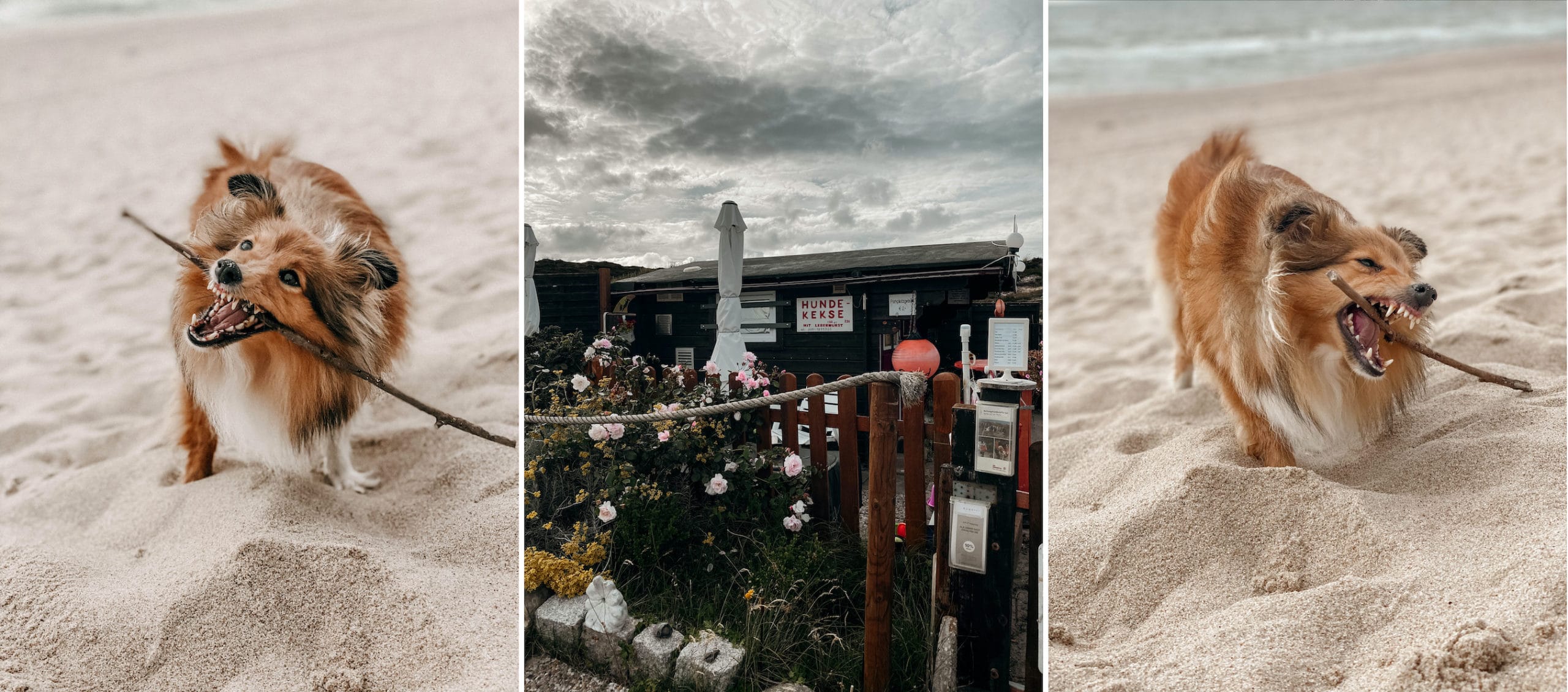 hundestrand baakdeel sylt