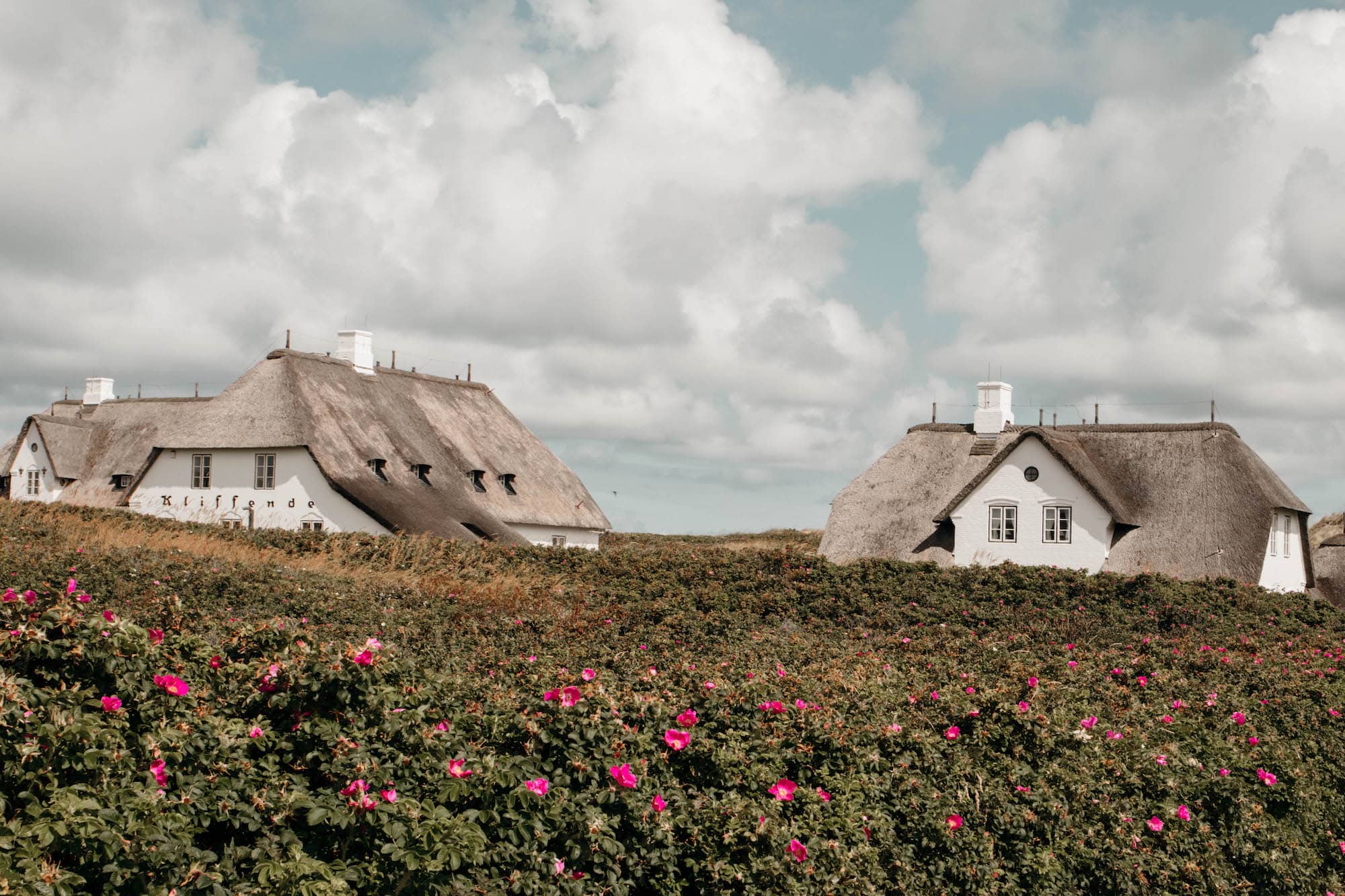 reetdachhäuser kampen sylt