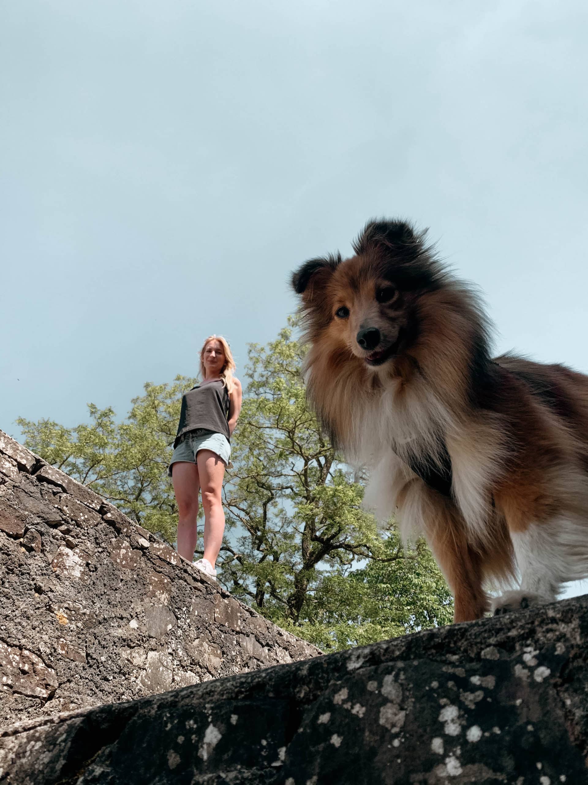 Eifel Highlights mit Hund