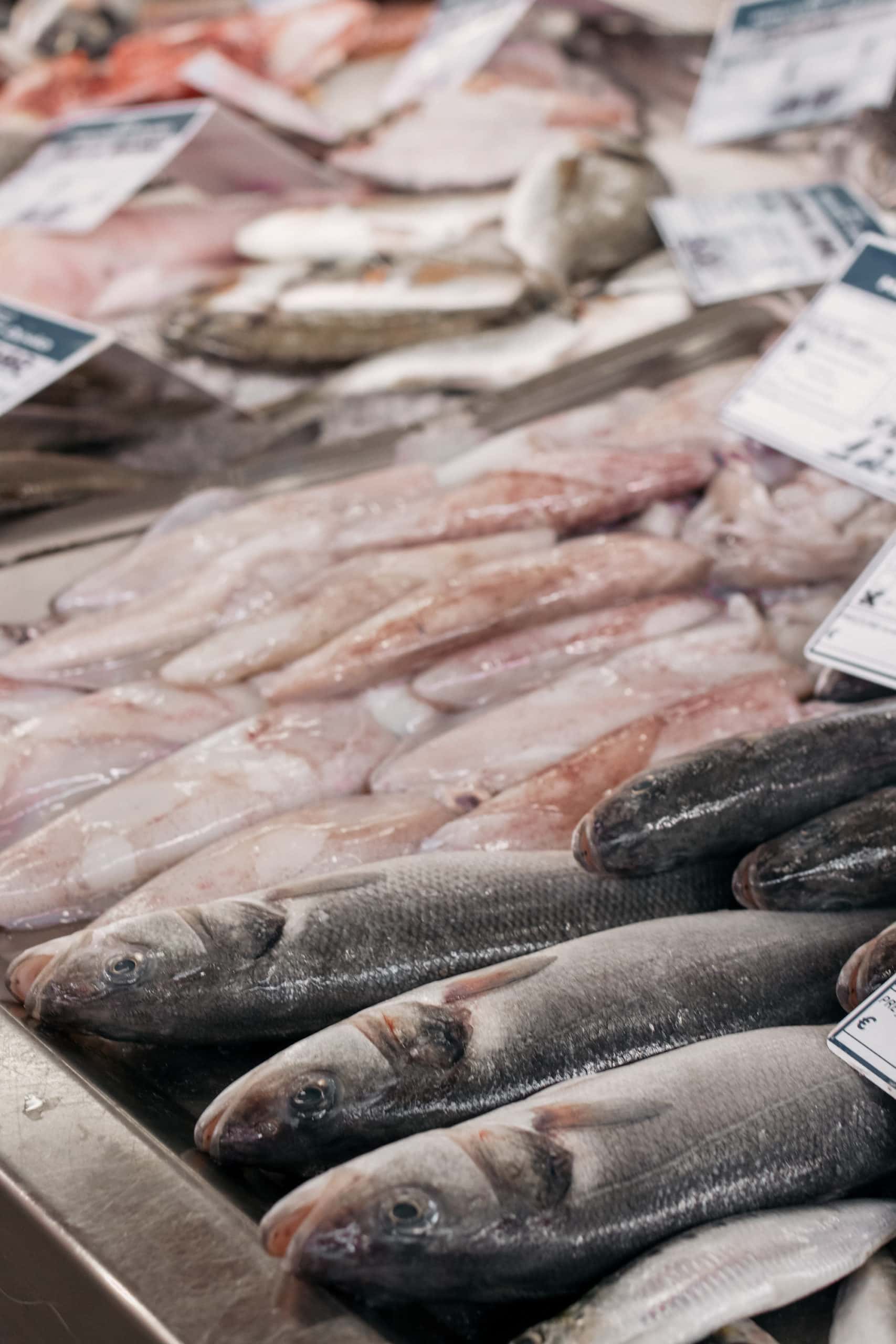 olhão fischmarkt