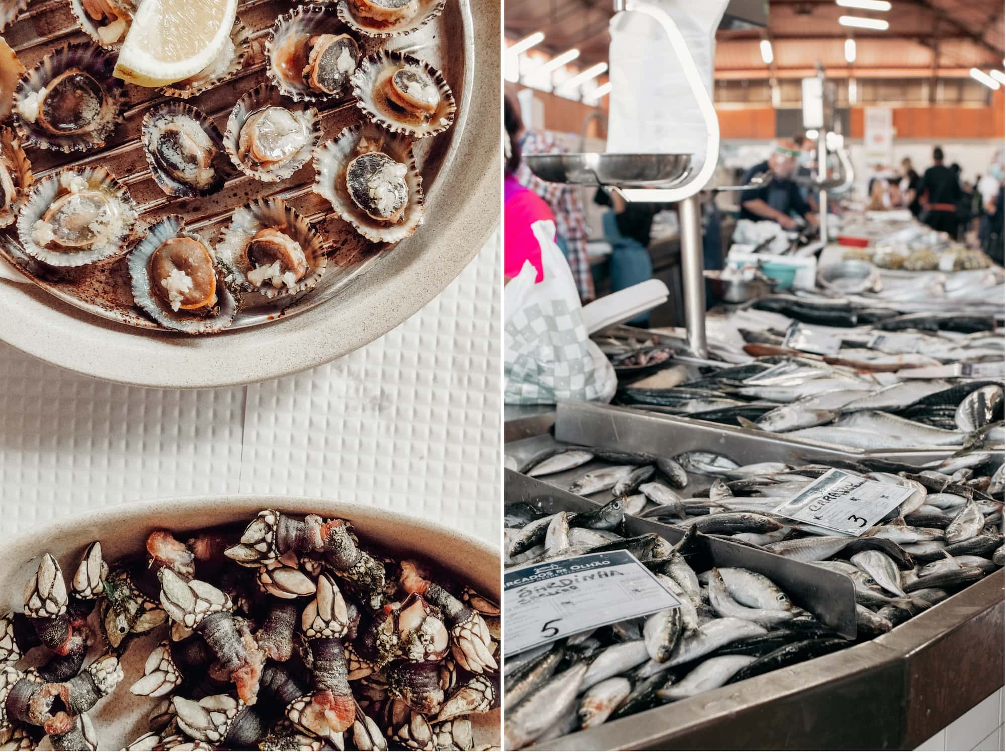 algarve fischmarkt