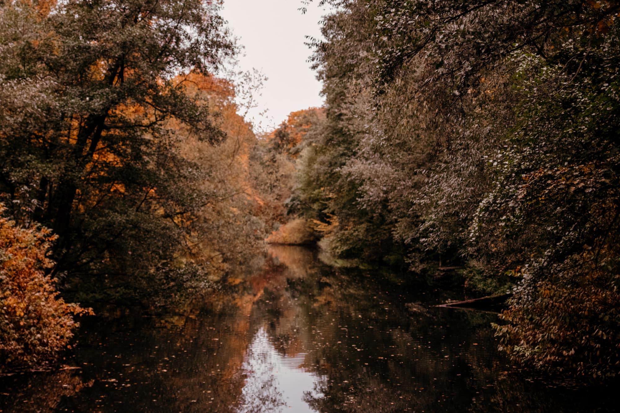 tipps gegen herbstblues natur