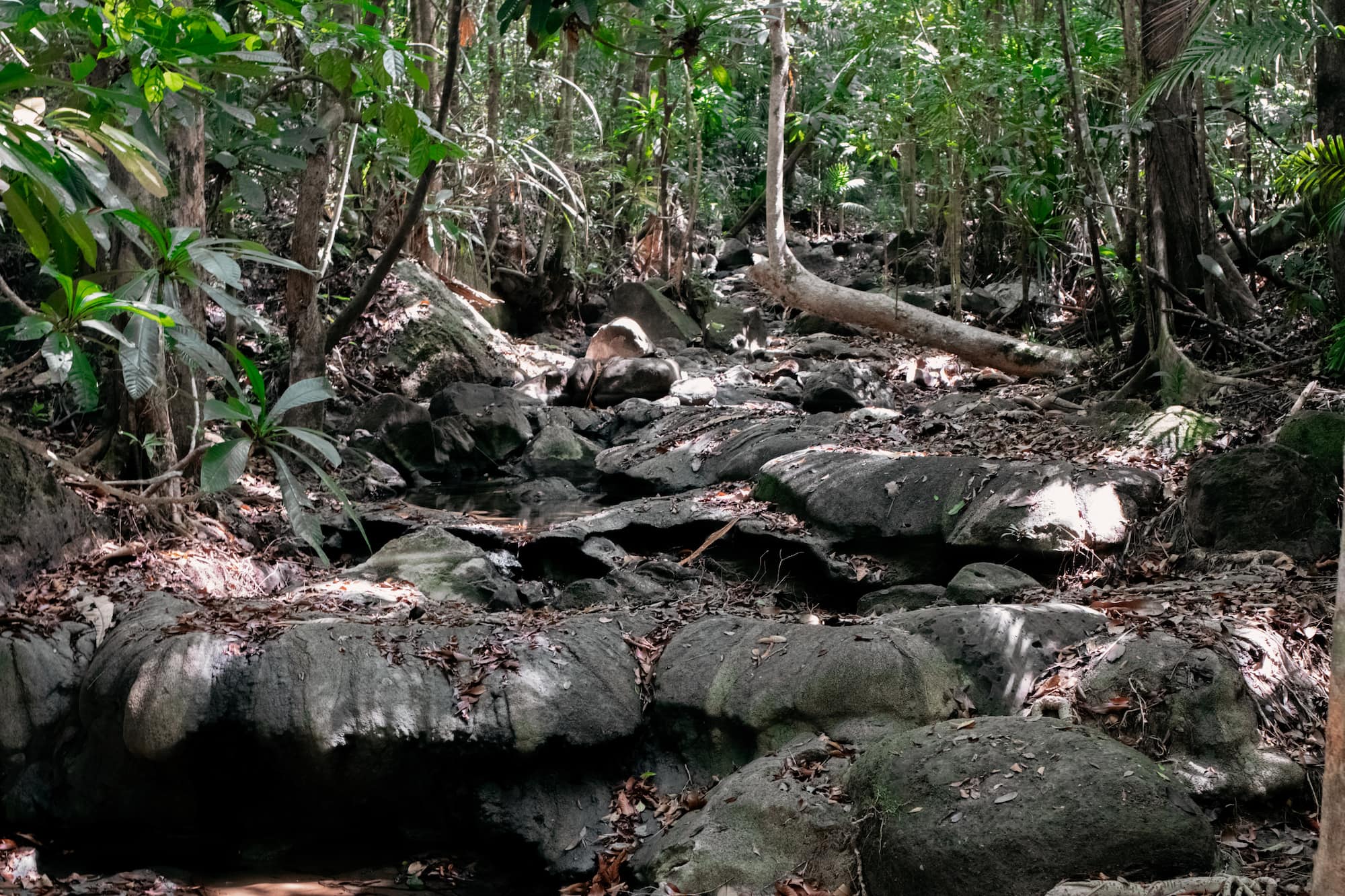 Tab Kak Hang Nak Hill Nature Trail aufstieg