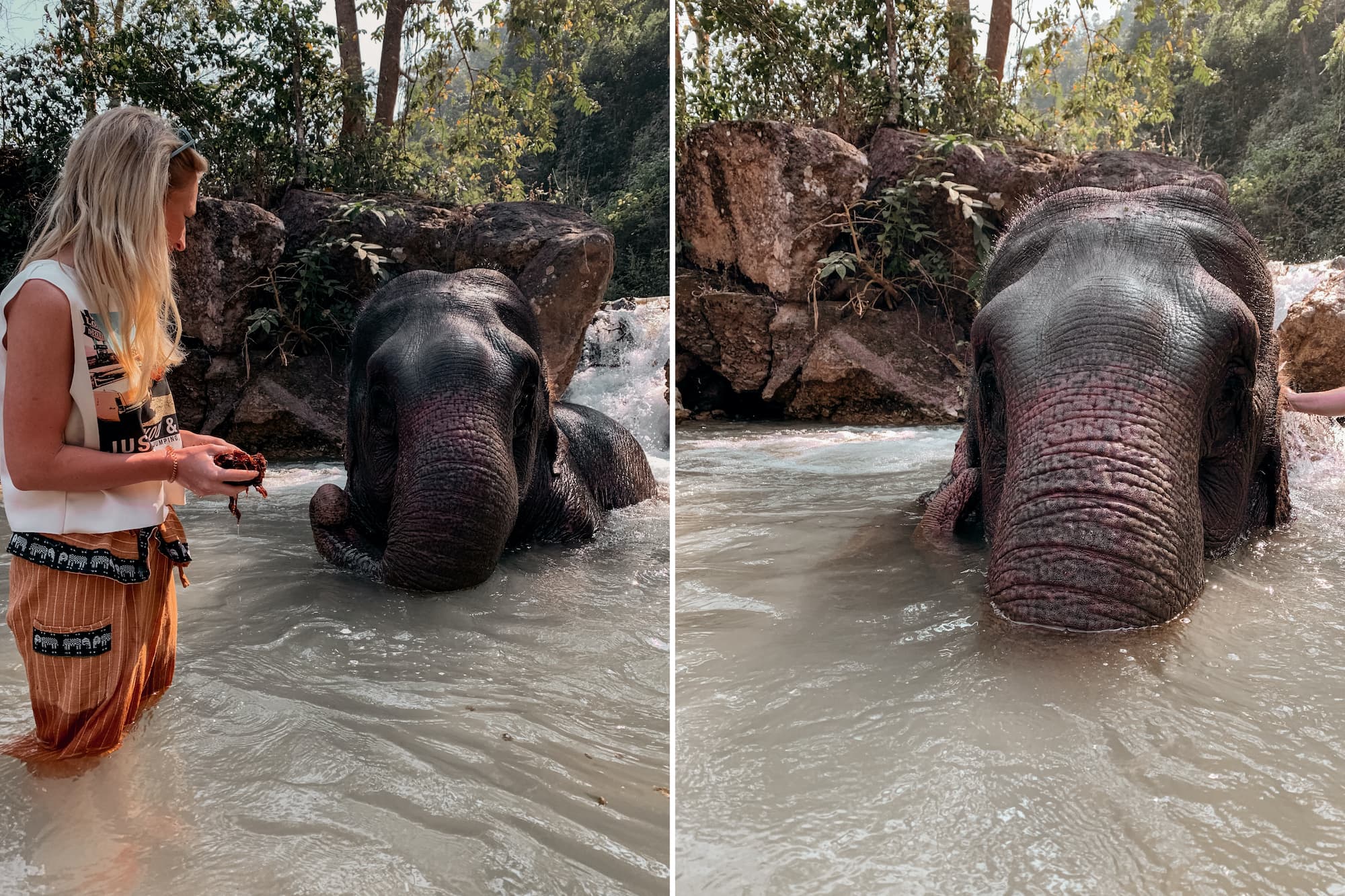 elefanten baden myanmar