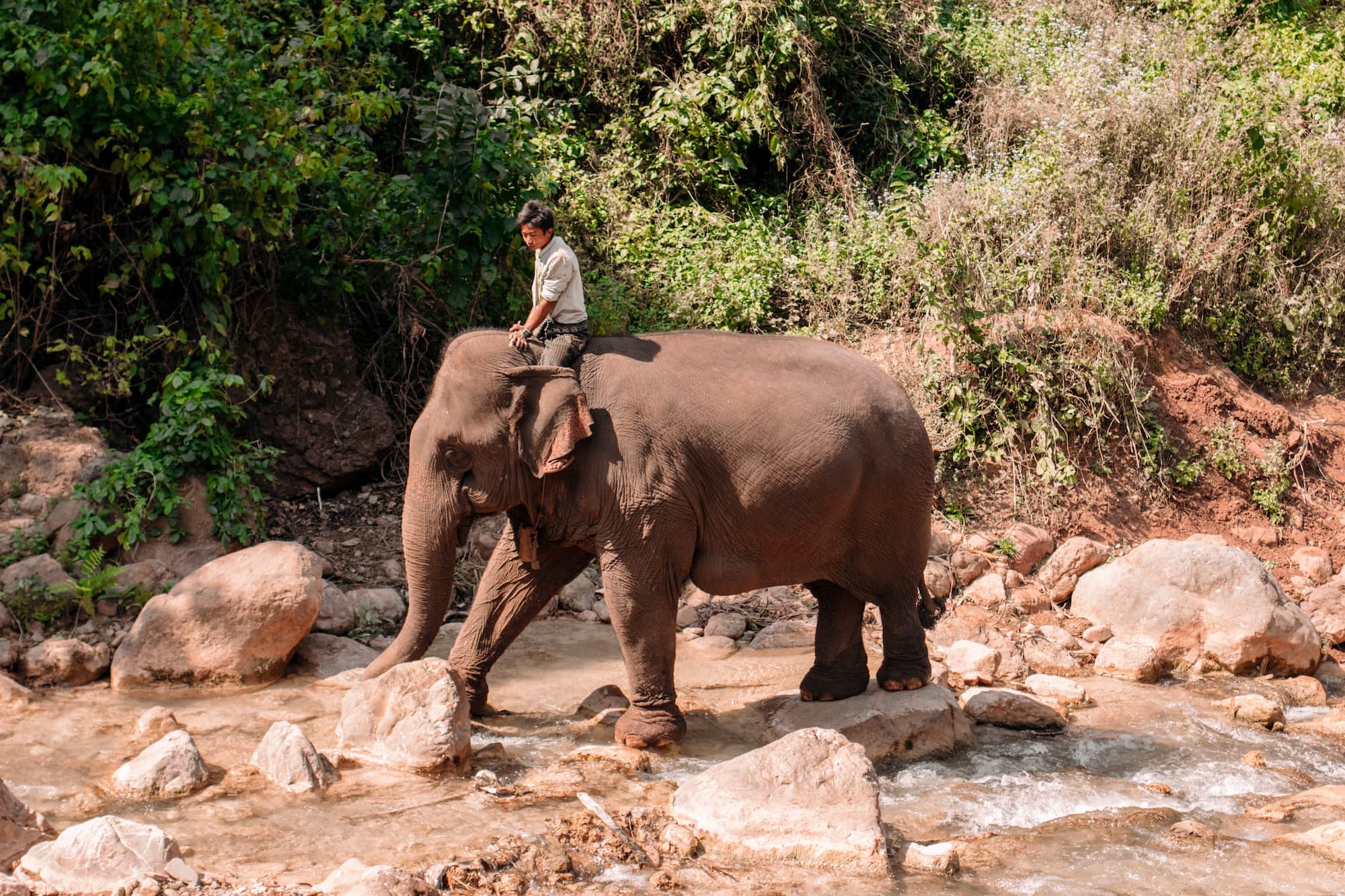 elefanten reiten myanmar