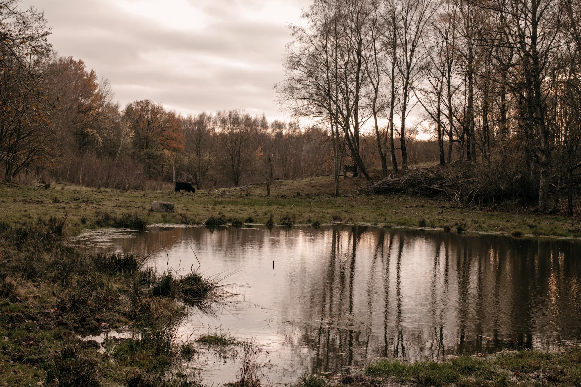 naturschutzgebiet hamburg