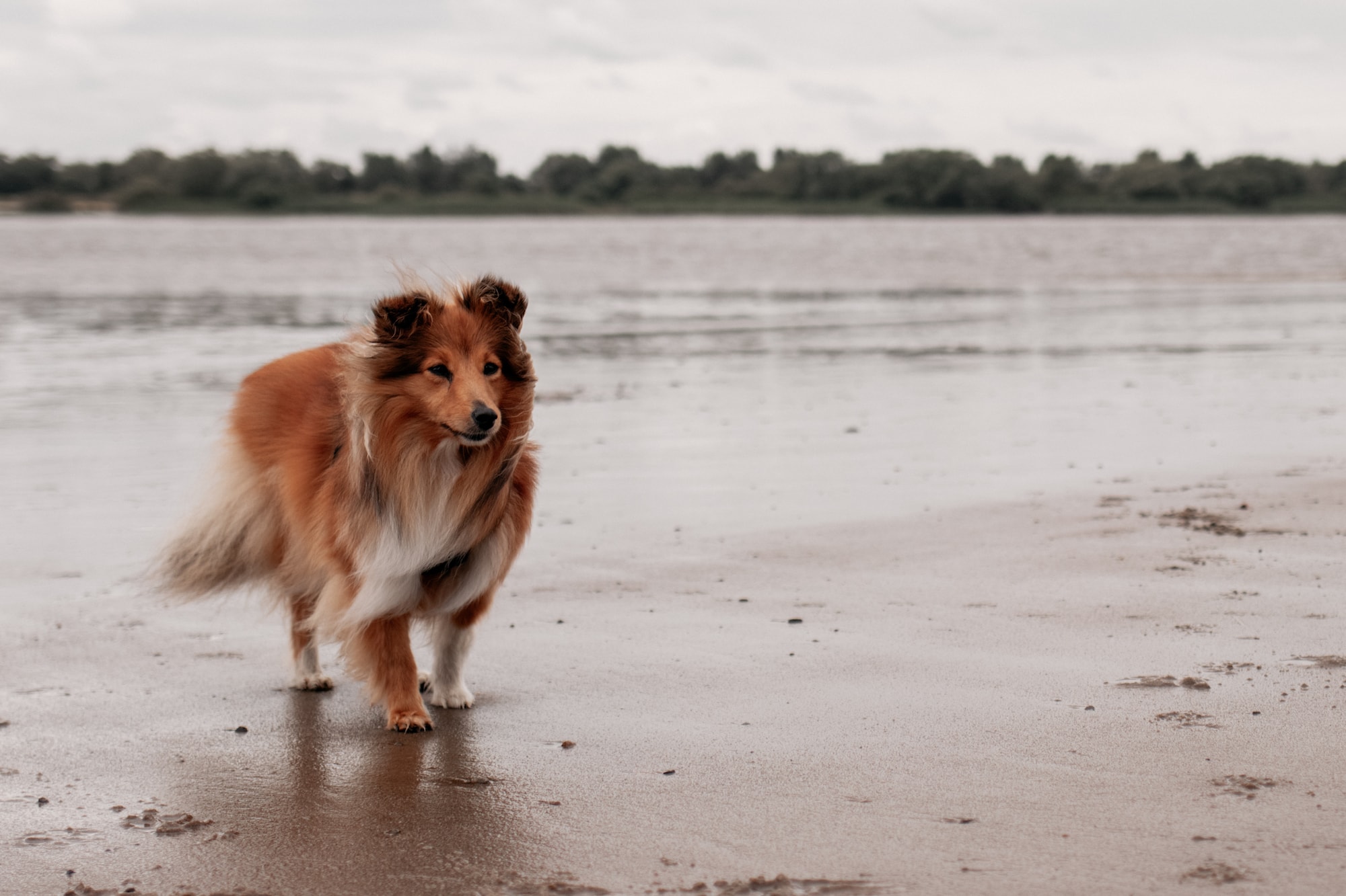 hetlinger schanze elbstrand hamburg wedel