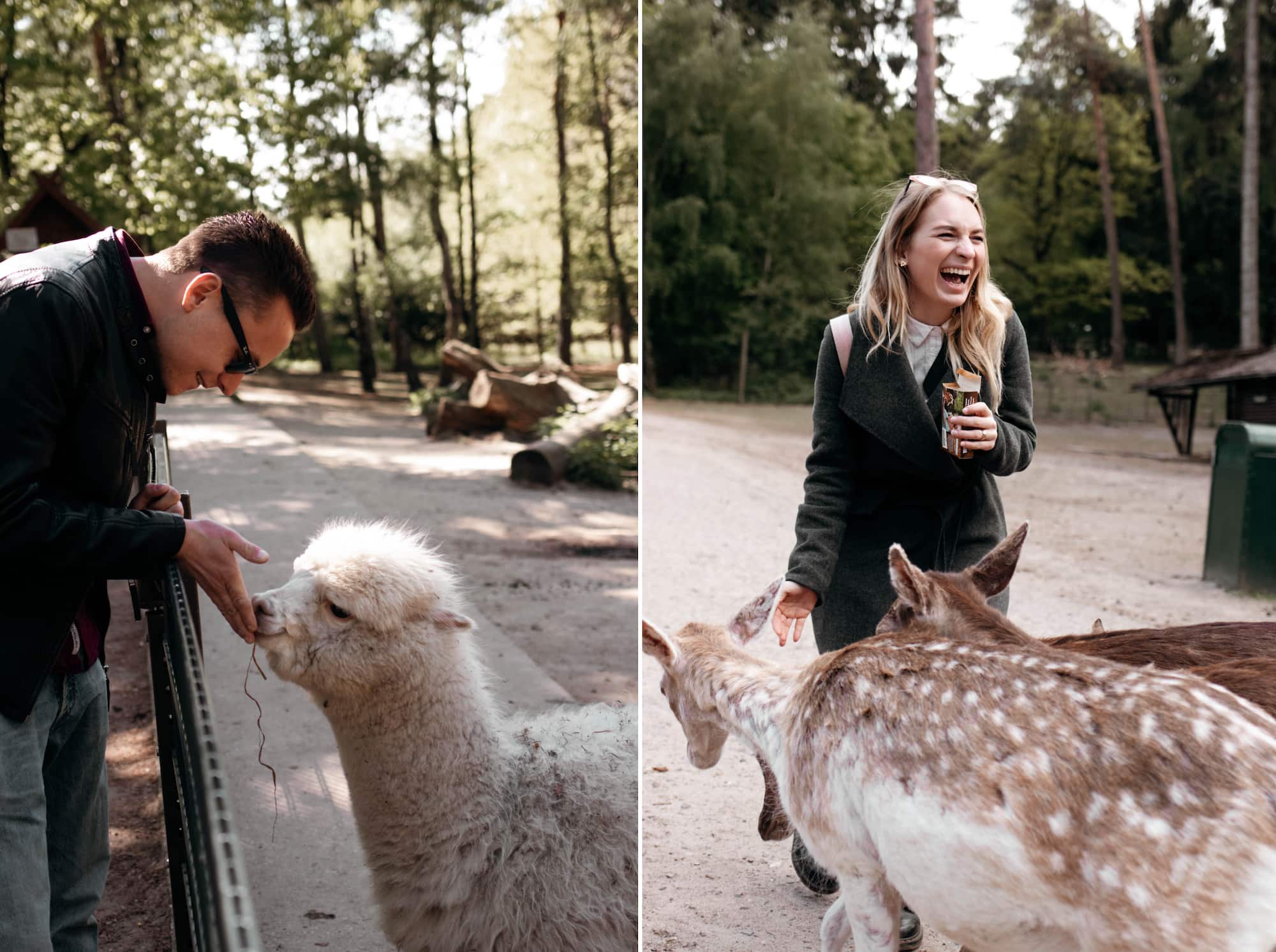 frühling wildpark lüneburger heide