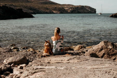 mallorca mit hund