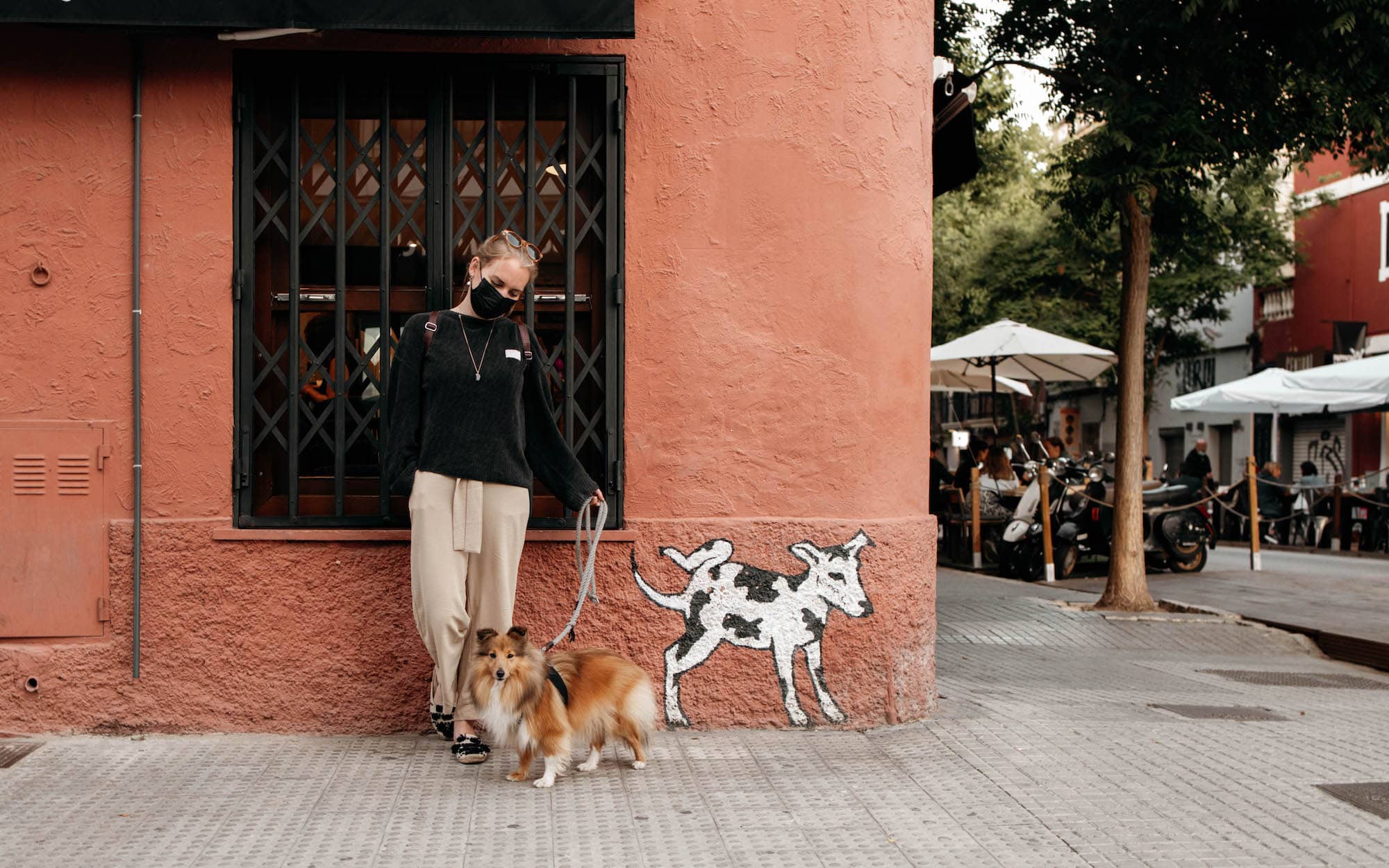 palma mallorca mit hund