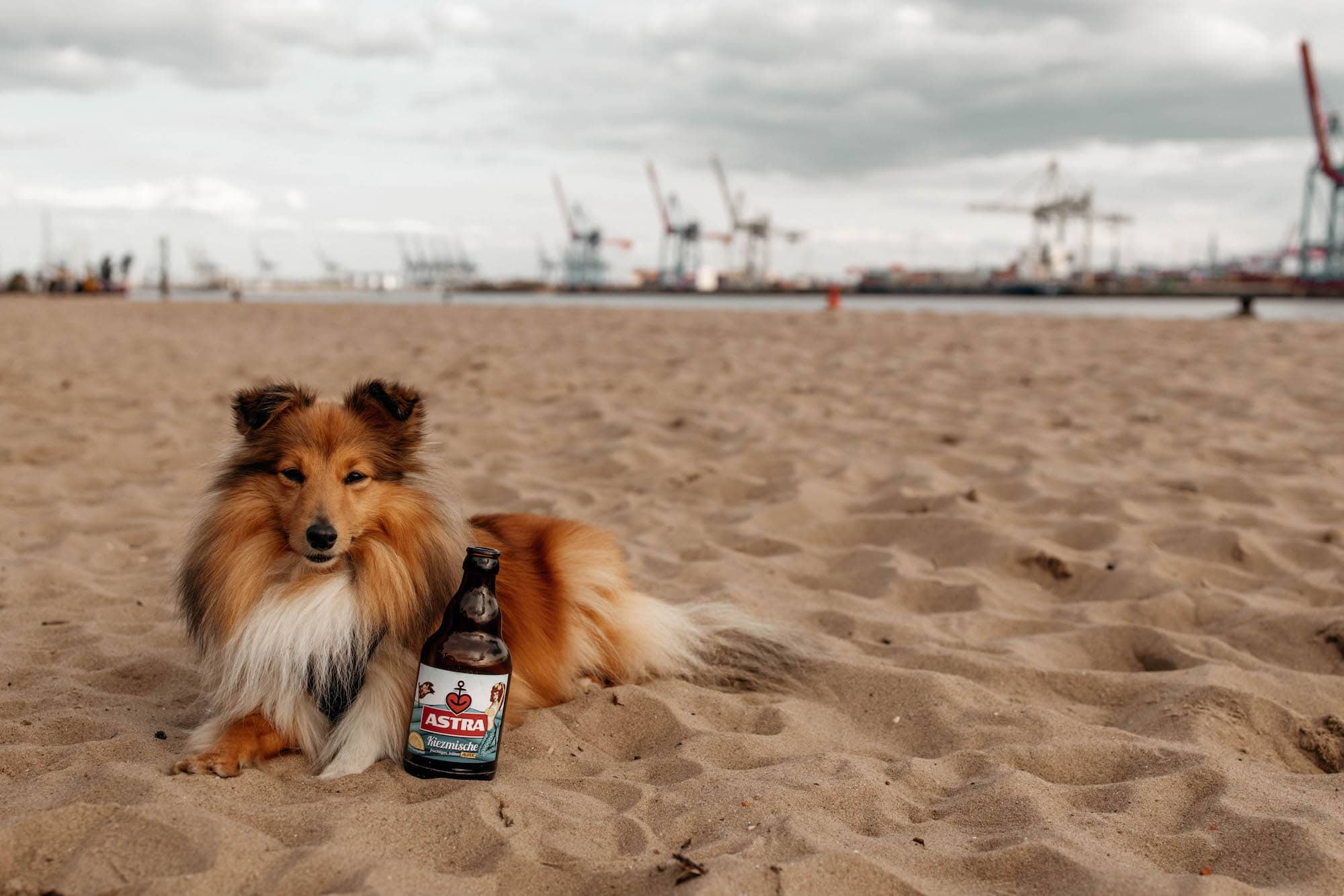 sommer in hamburg elbstrand