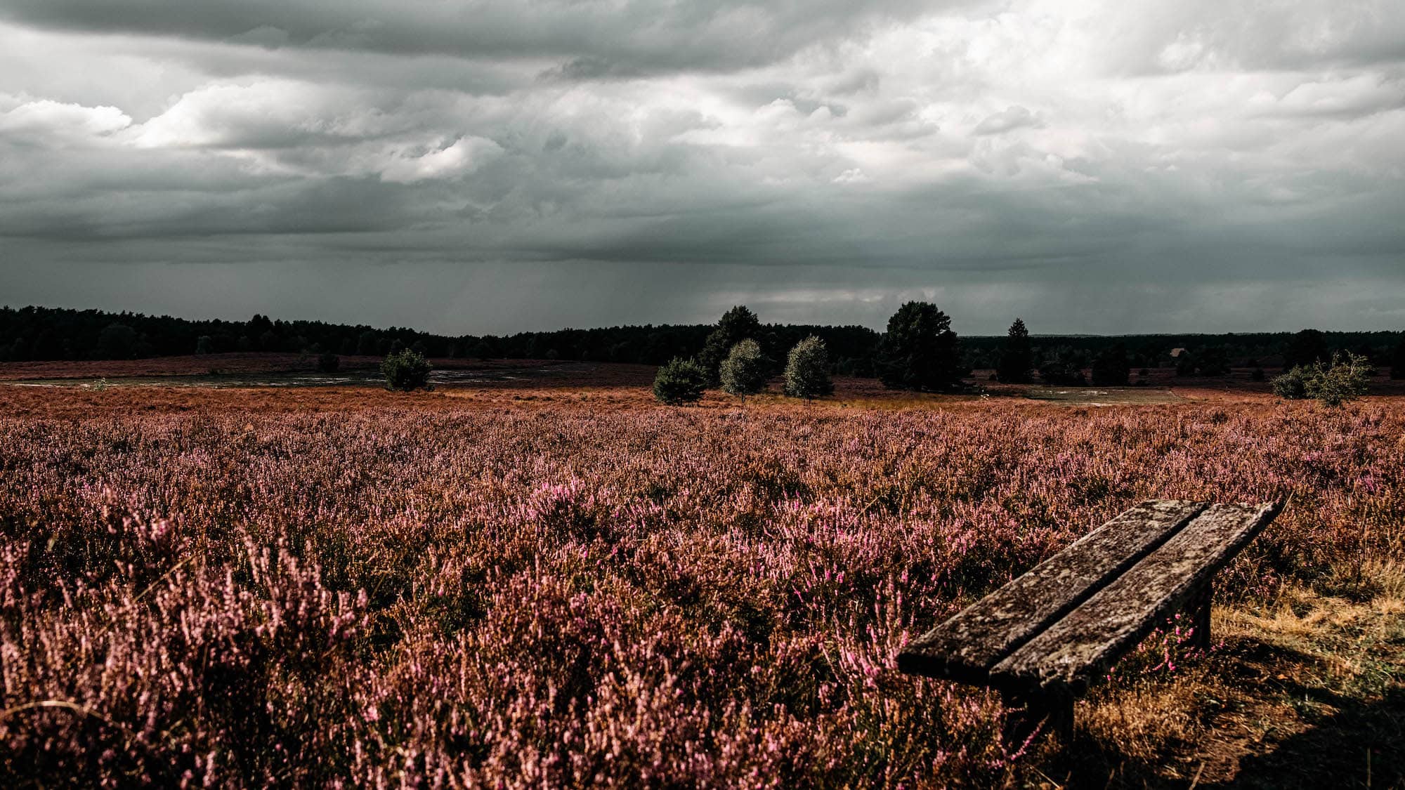 lüneburger heide wandern