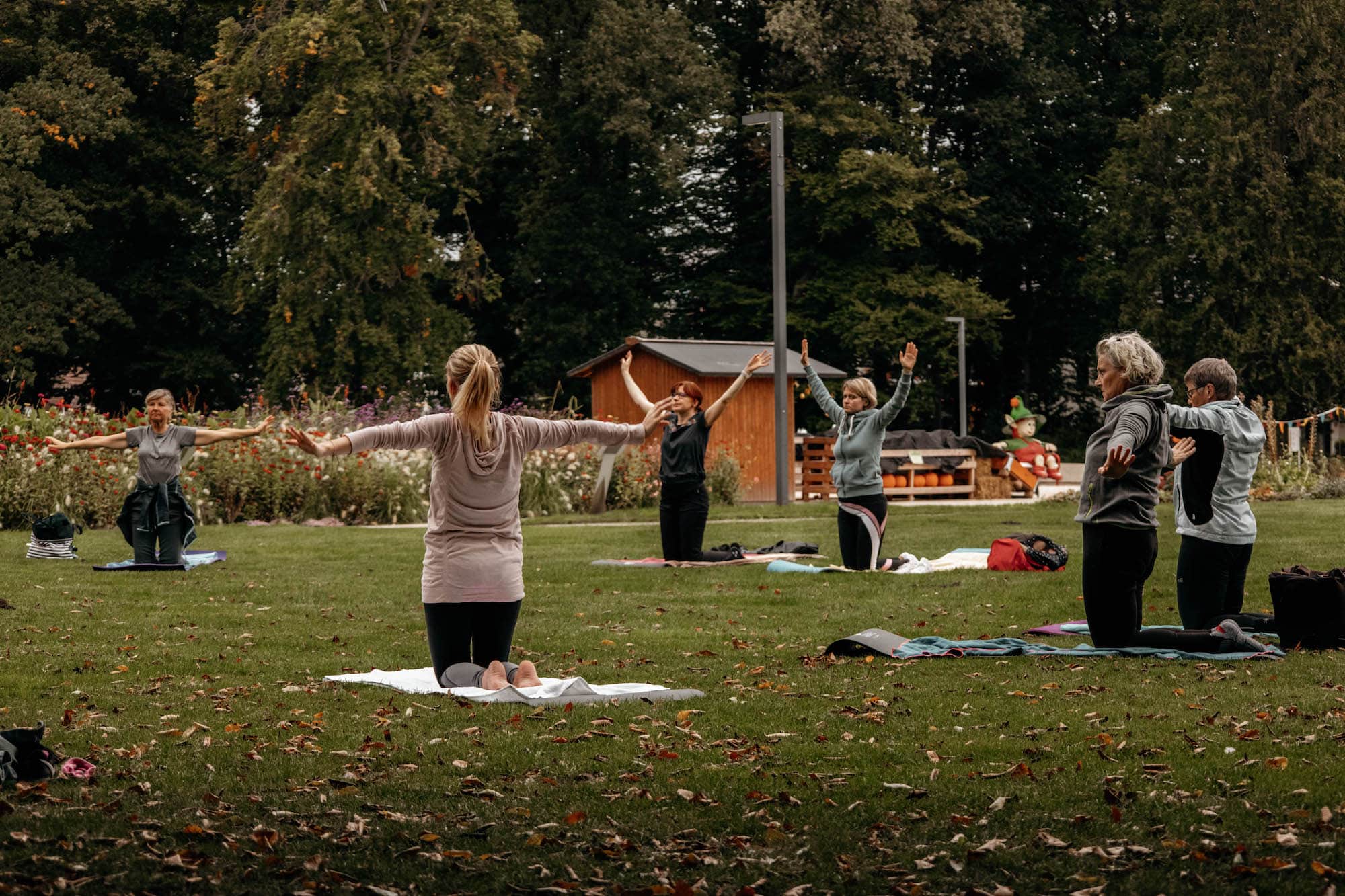 wellness yoga teutoburger park