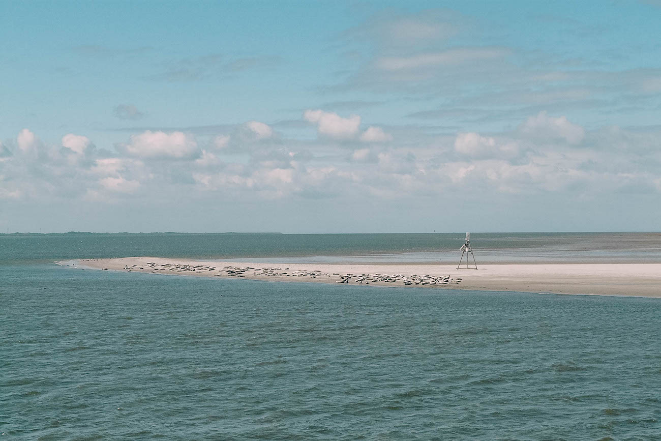 baltrum wattenmeer