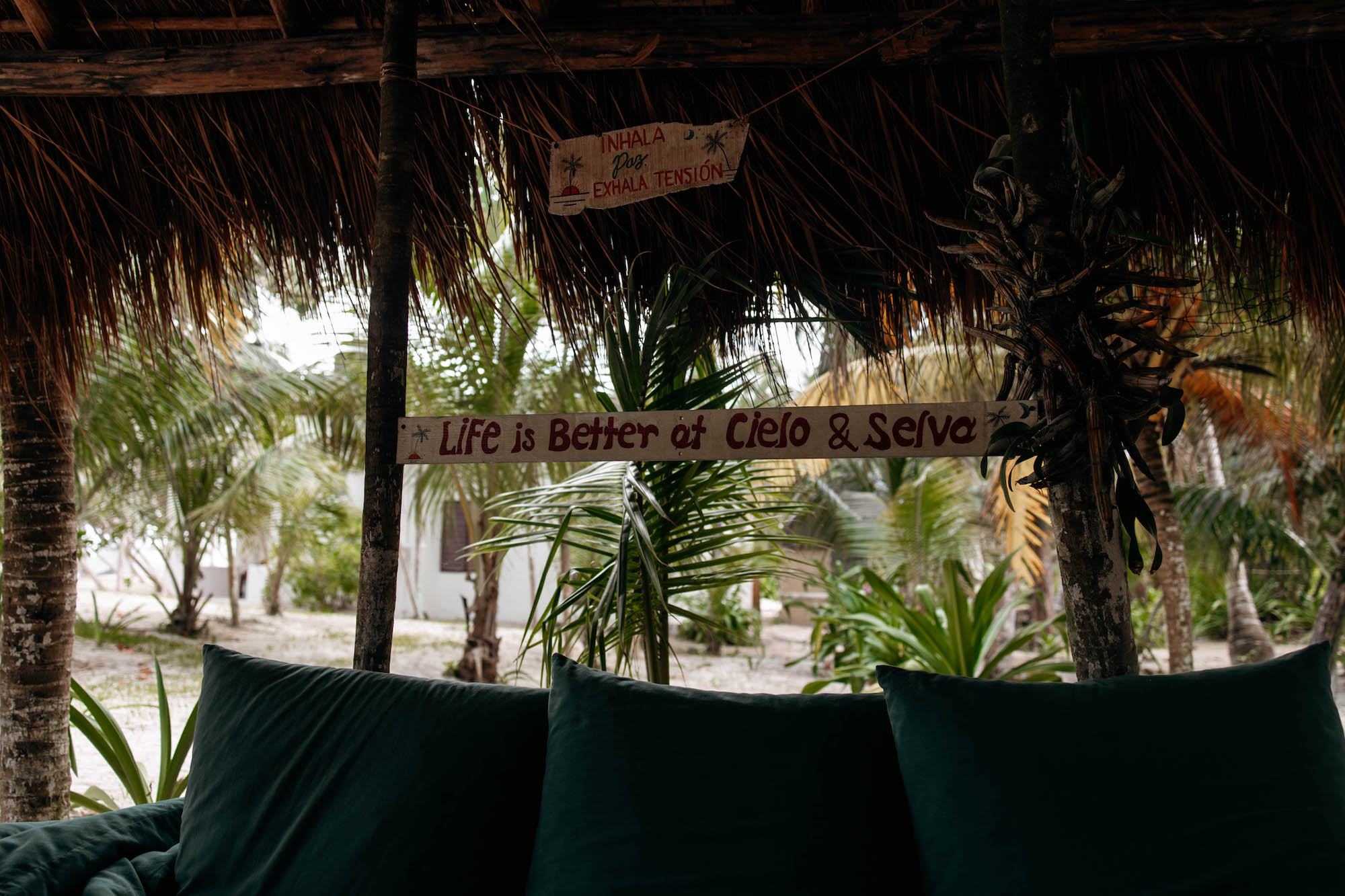 cielo y selva tulum