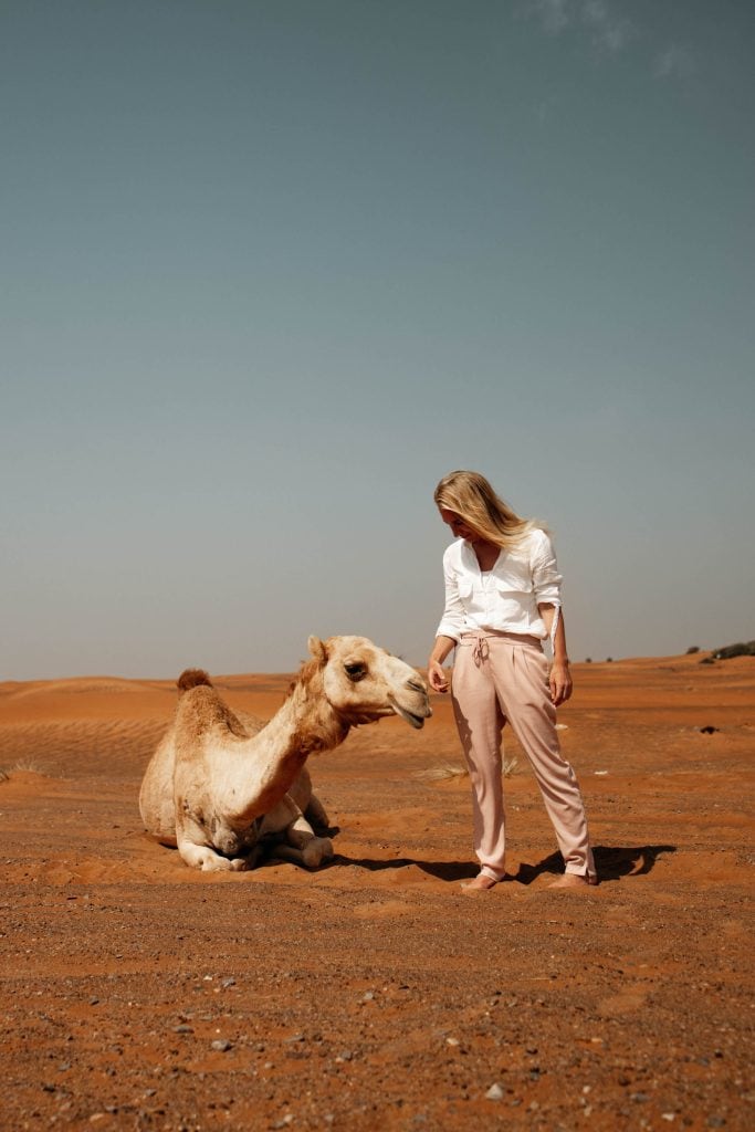 al madam wüste kamel
