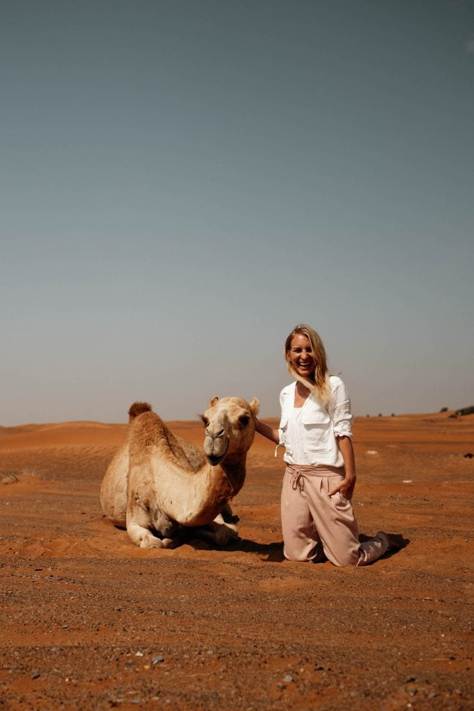 dubai wüste kamel