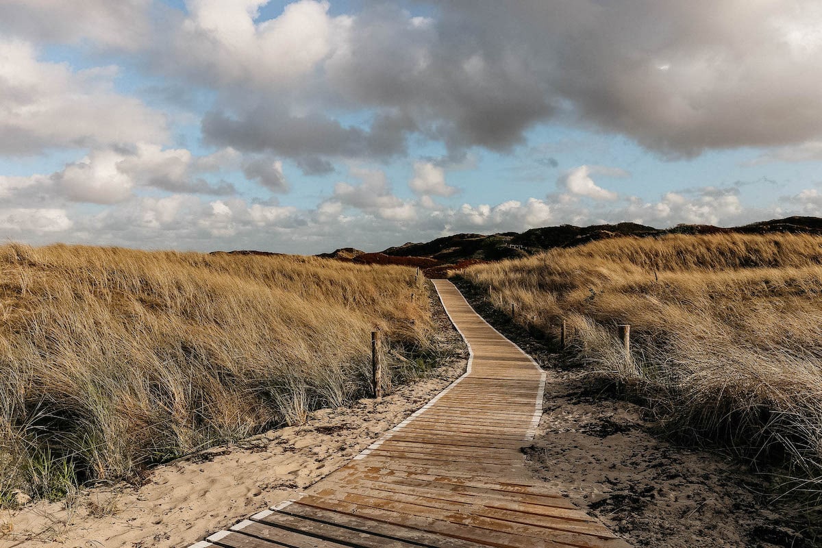 langeoog duenen