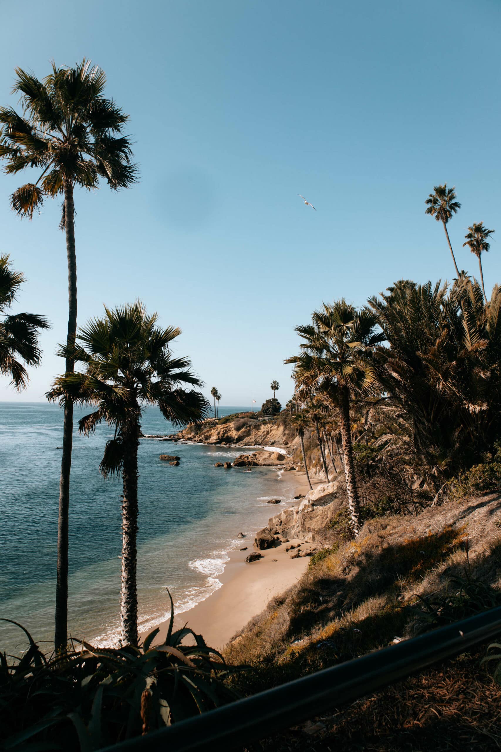 laguna beach 