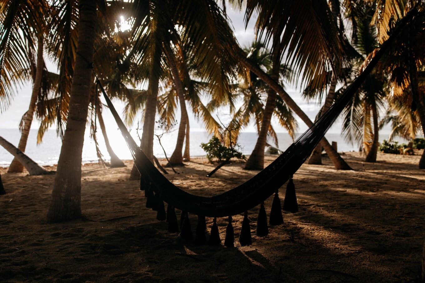 punta allen tipps