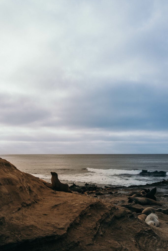 la jolla cove