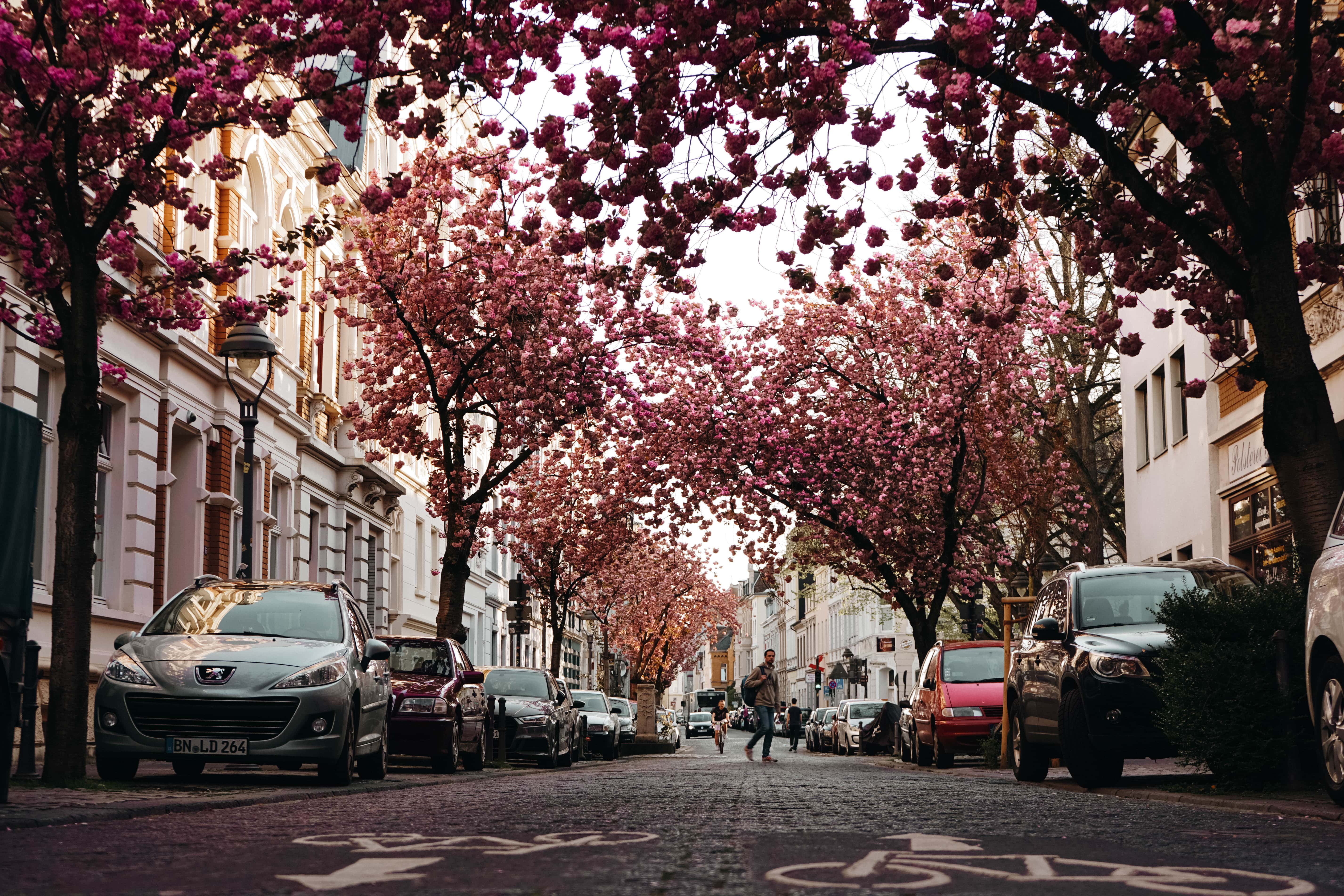 Bonn ist eine der schönsten Städte in Deutschland.