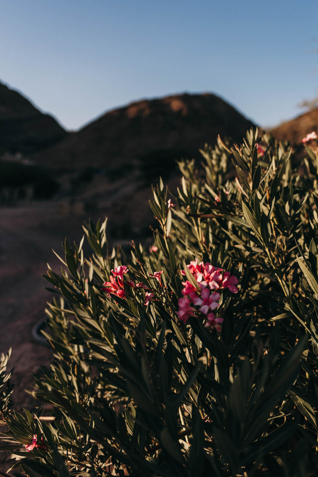 jordanien natur tipps