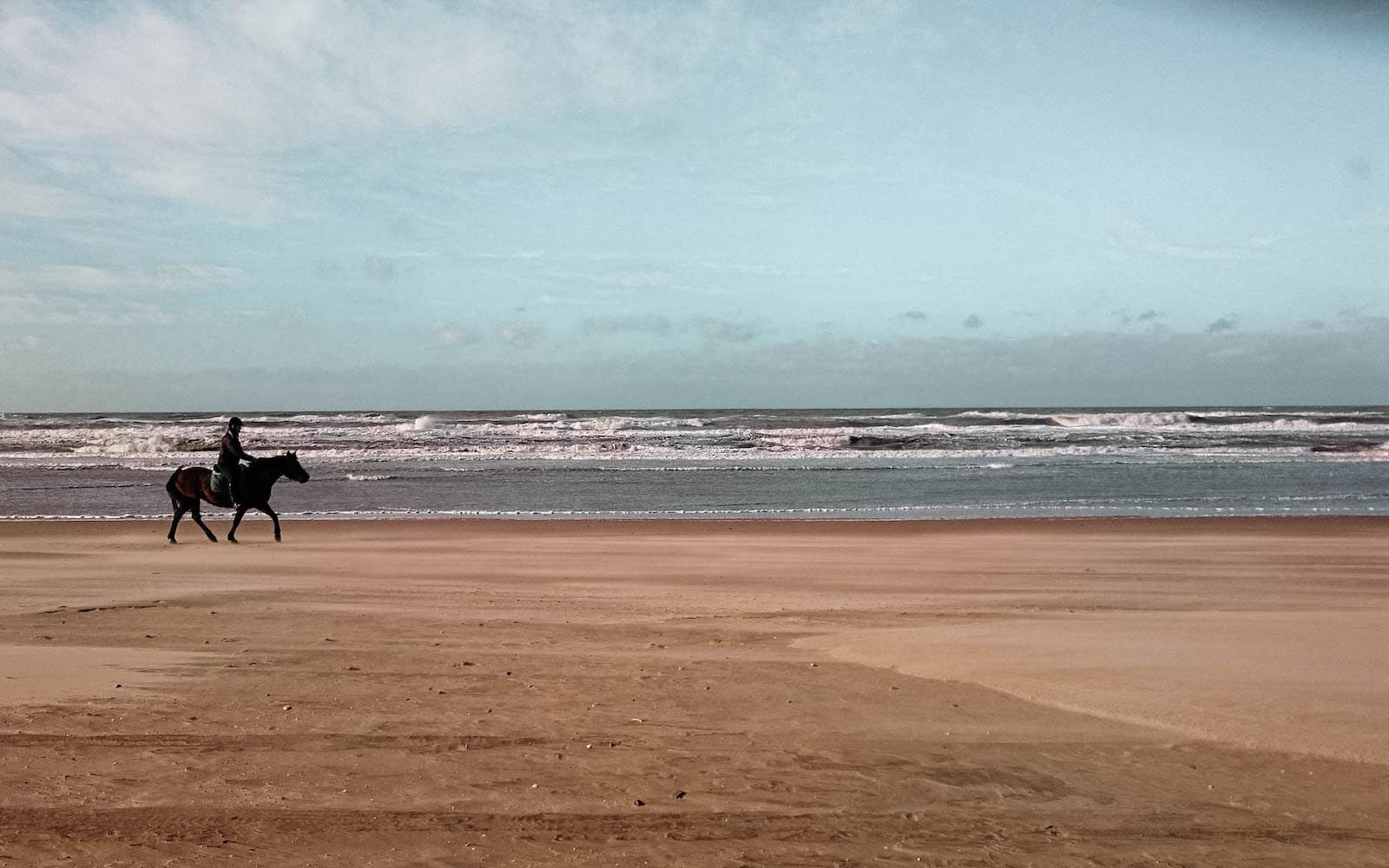 dänemark reiten strand