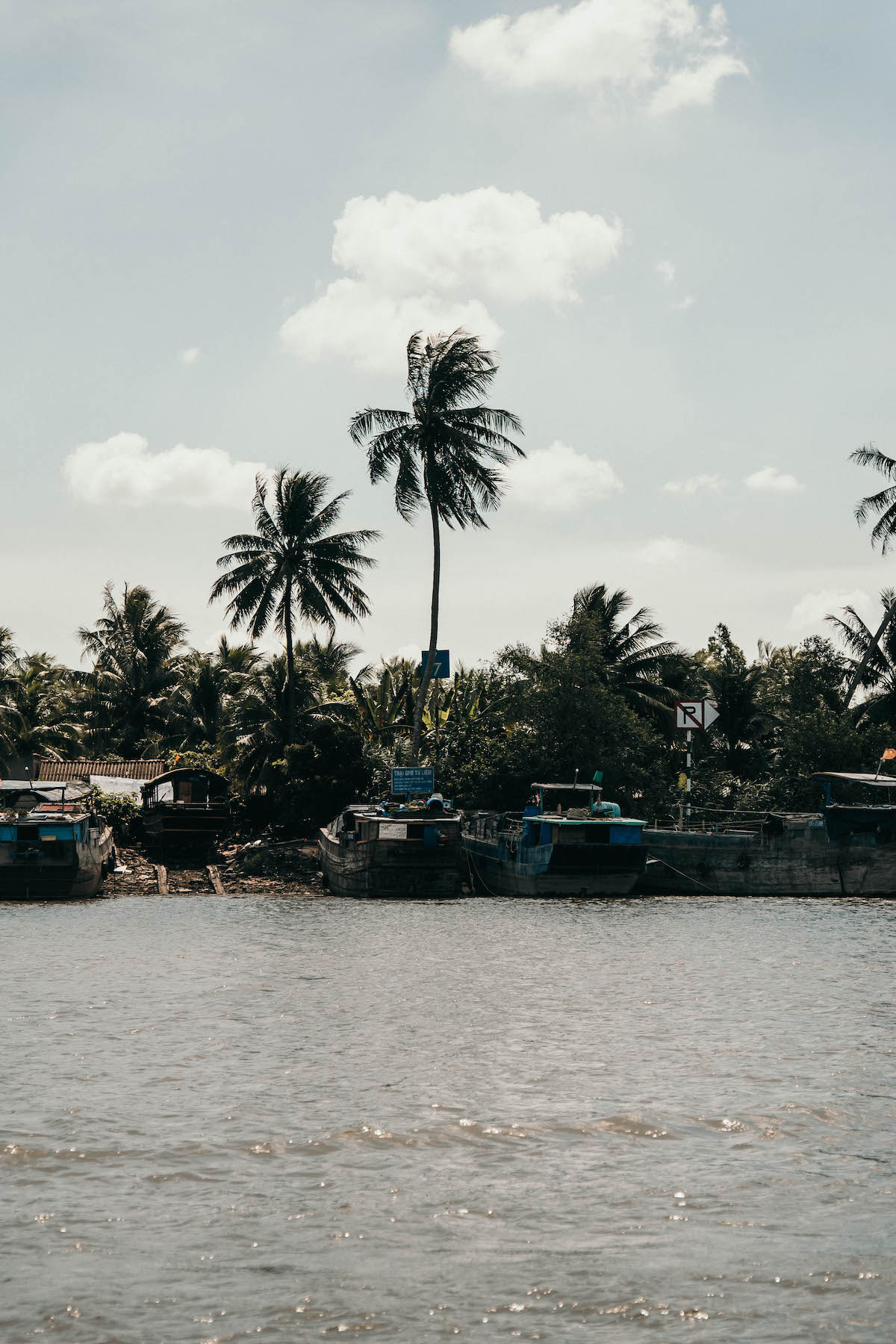 mekong delta