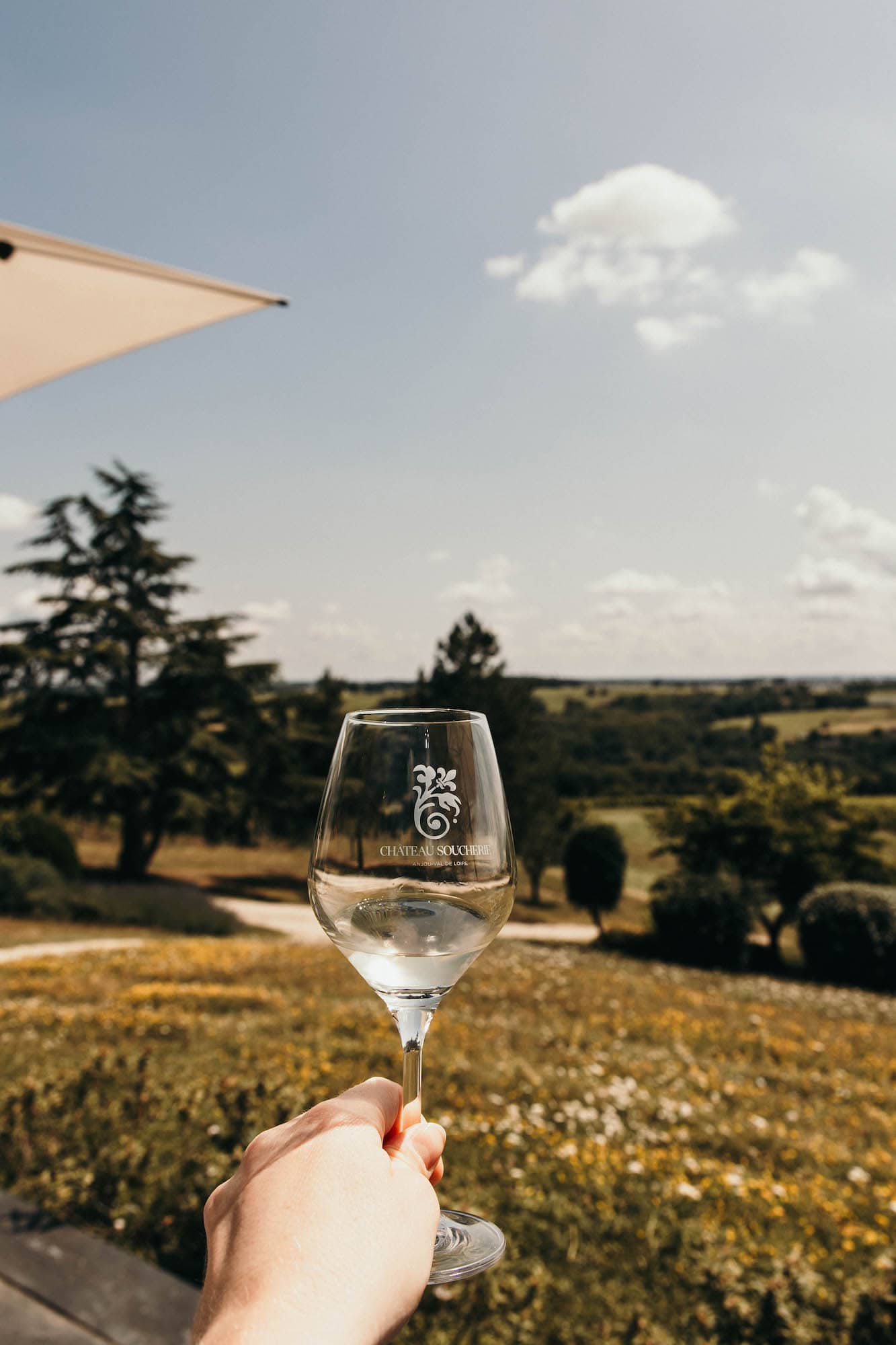 weinreise frankreich loire weinglas