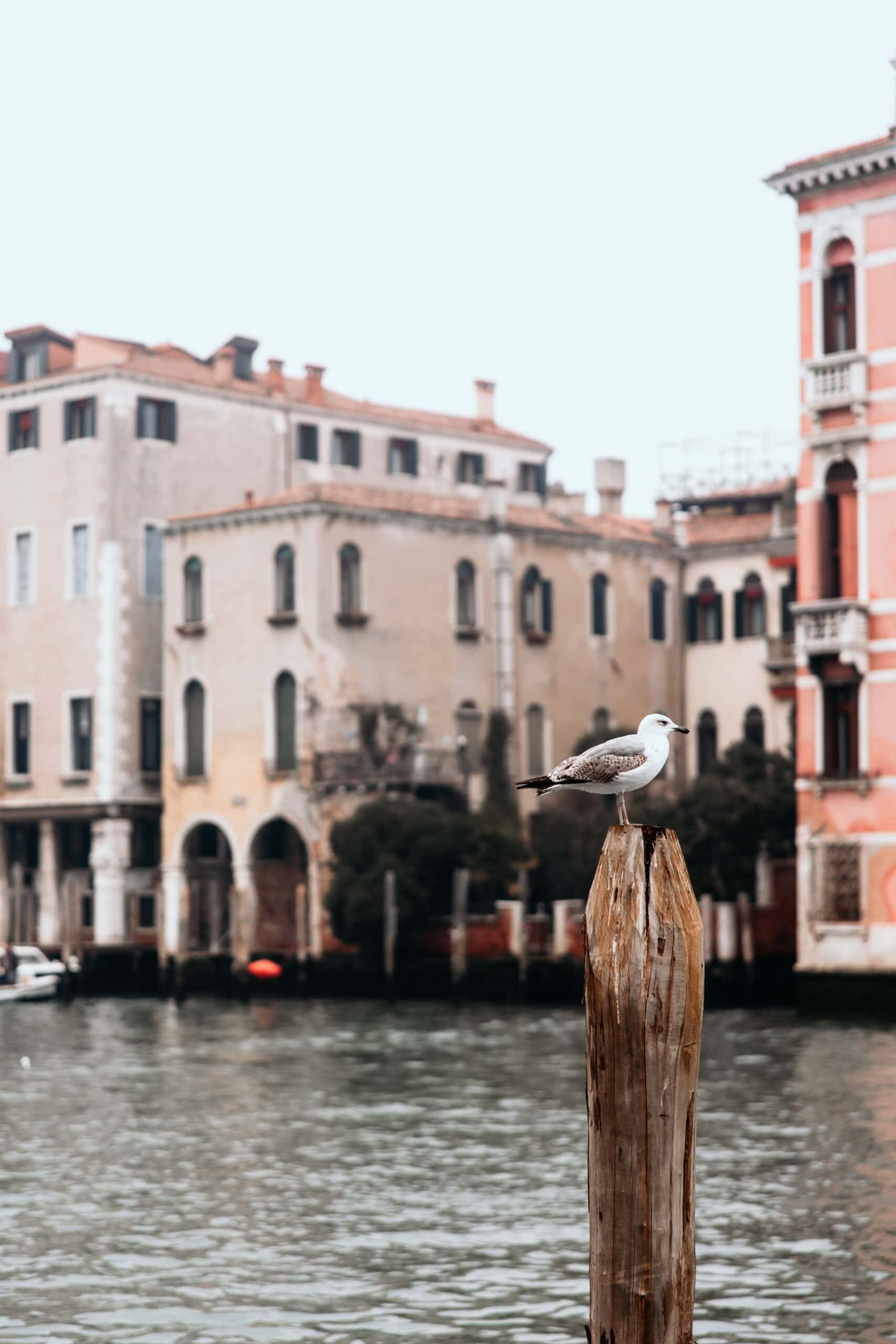 venedig highlights